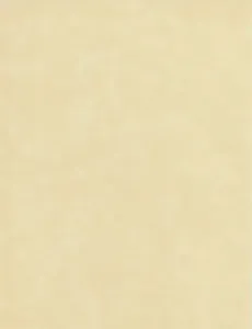 Cream Suede 8.5x11 Paper, 1 Sheet