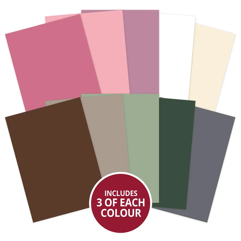 Everlasting Memories Matt-tastic Selection