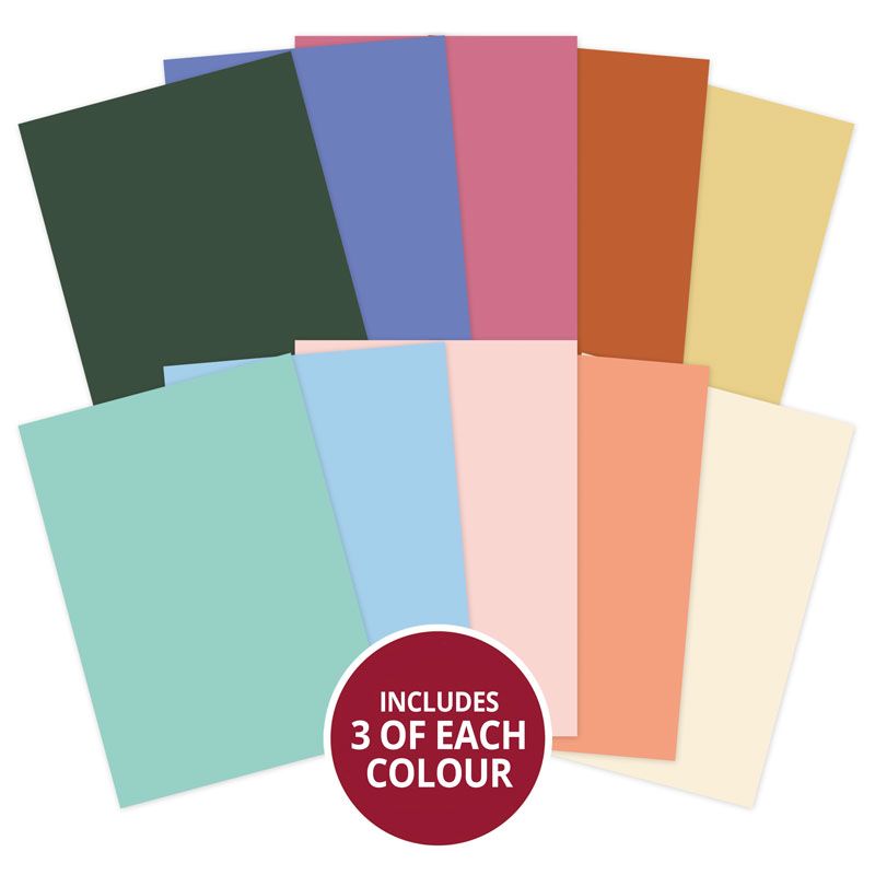 Eastern Wishes Matt-tastic Adorable Scorable Selection