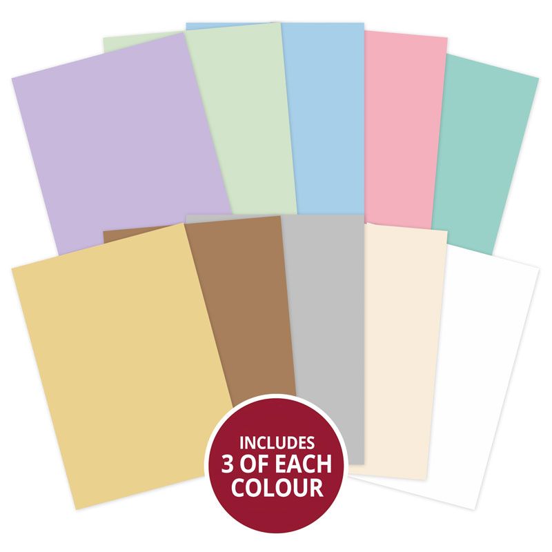 Bunny's Special Day Matt-tastic Selection Acorn Wood