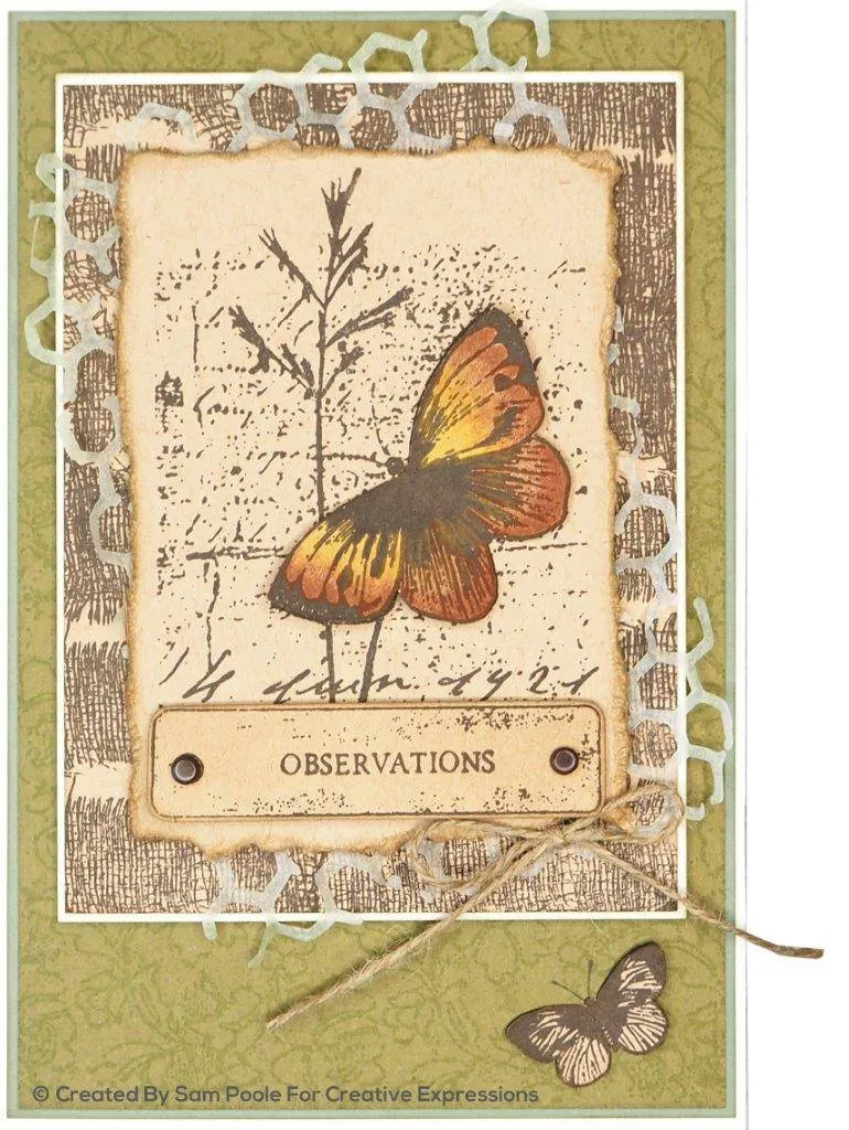 Rustic Honeycomb Craft Die Creative Expressions Sam Poole Shabby Basics