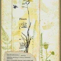 Butterfly Walk A5 Clear Stamp Set Creative Expressions Sam Poole