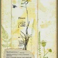 Butterfly Walk A5 Clear Stamp Set Creative Expressions Sam Poole