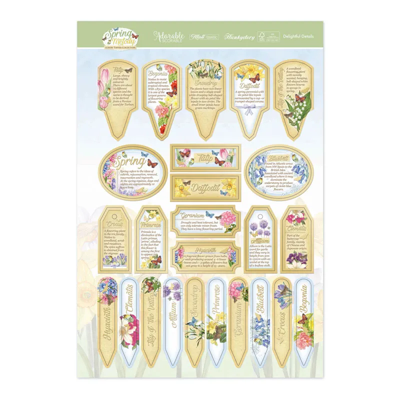 Delightful Details Luxury Topper, 2 Sheets , Bespoke for Paper Wishes