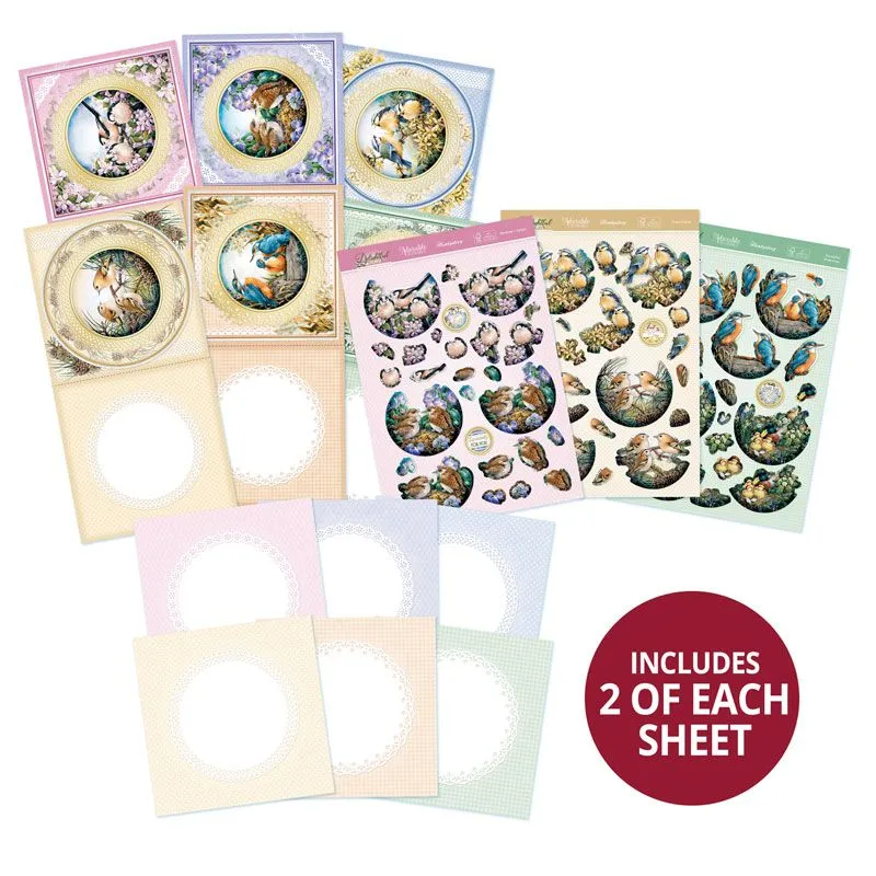 Delightful Birds Decoupage Card Kit