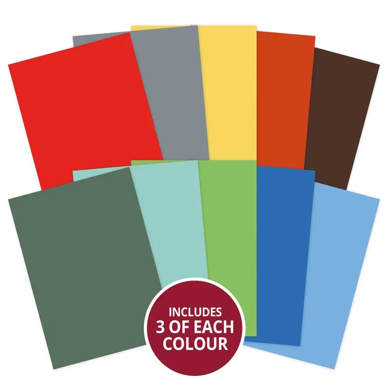 His Selection Adorable Scorable