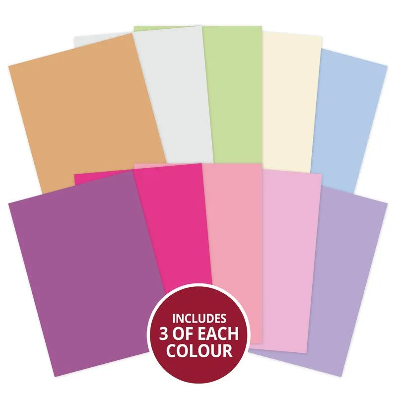 Her Selection Adorable Scorable