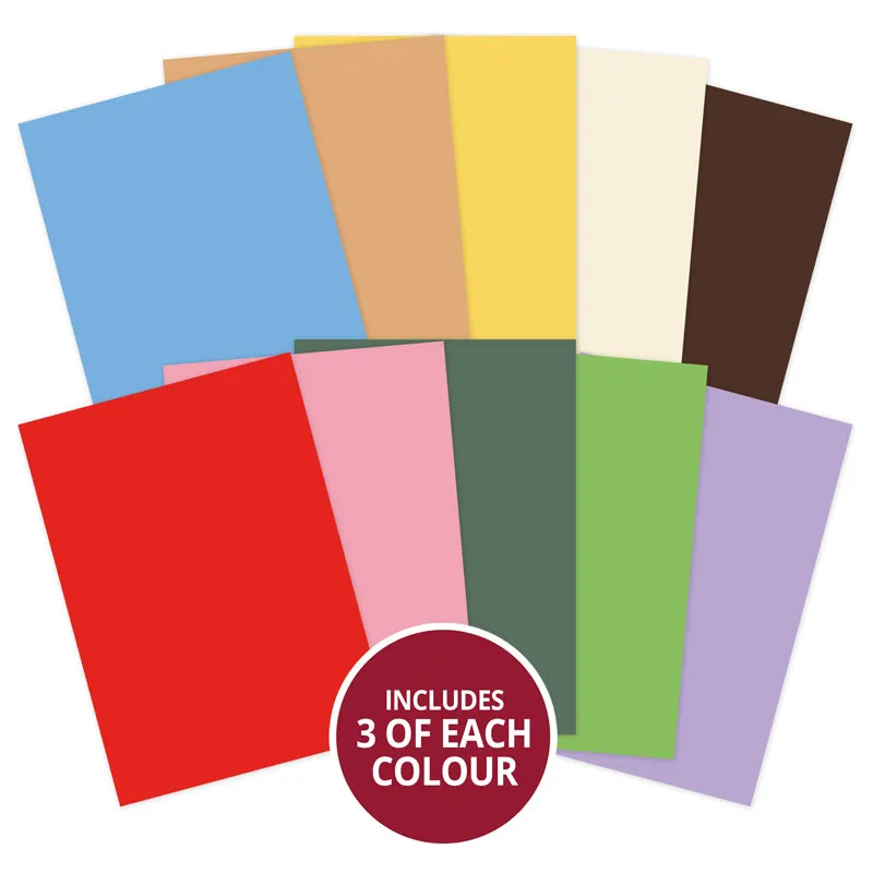 Meadow Farm Selection Adorable Scorable