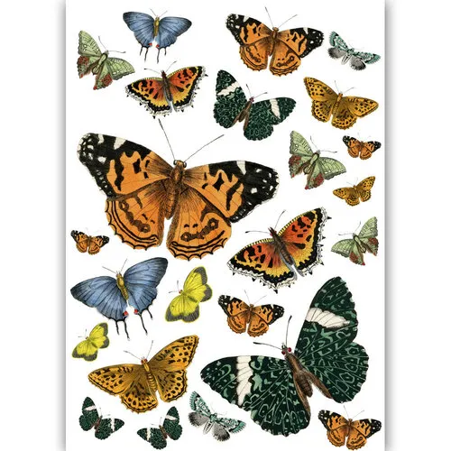 Vintage Butterflies Transfer Me Sheet