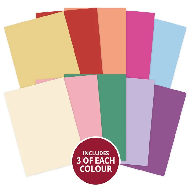 Adorable Scorable Forever Florals Summer Splendour Selection Matt-tastic