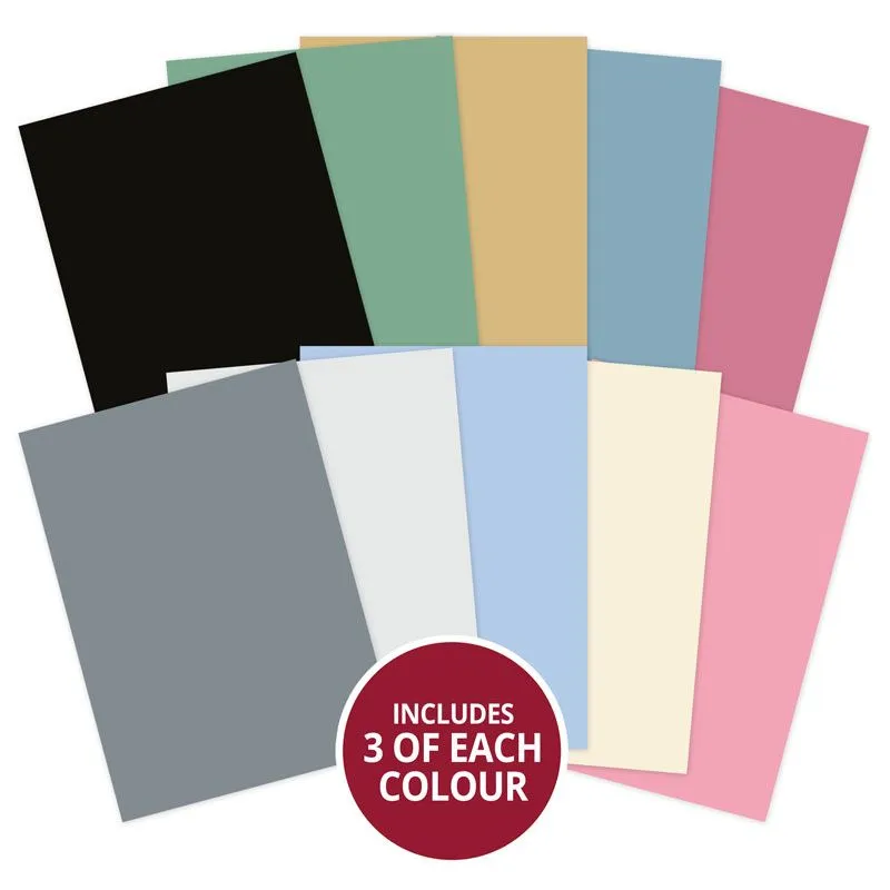 Floral Elegance Adorable Scorable Selection