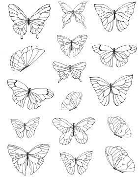 Outline Butterflies Die-Cut Acetate, 32 pieces