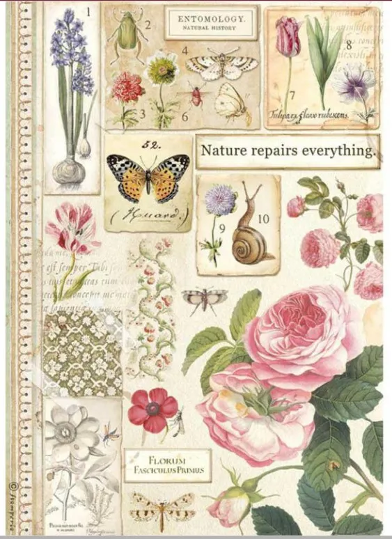 Botanic A4 Rice paper