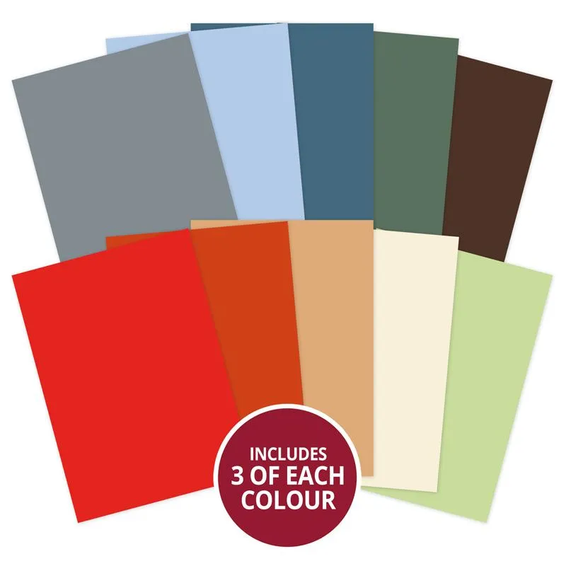 Little Red Robin Adorable Scorable Selection