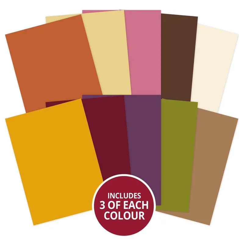 Autumn Days Forever Florals Matt-tastic Adorable Scorable Selection