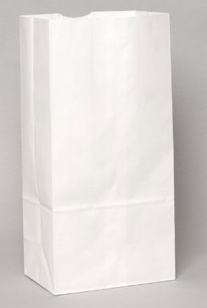 25 White Paper Bags