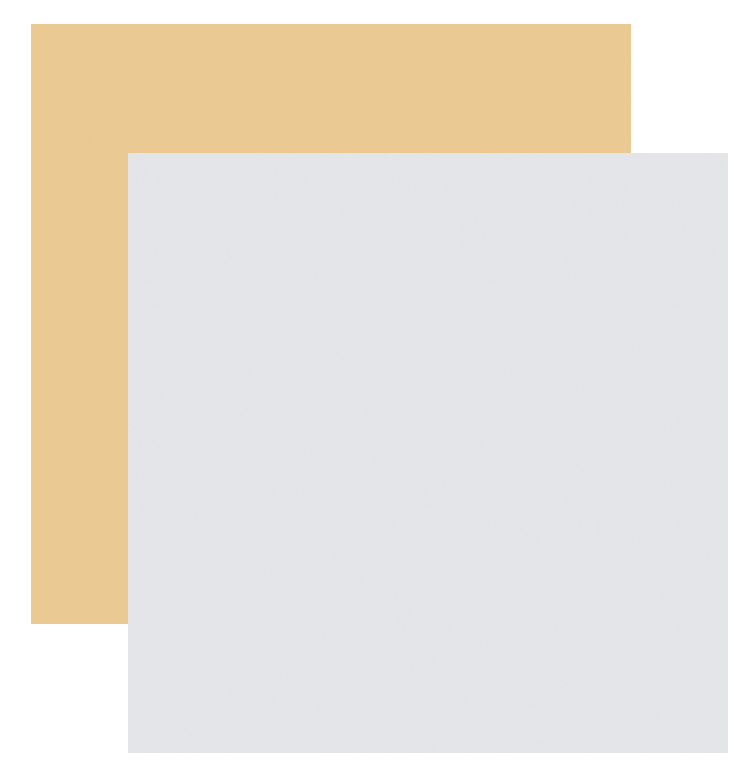 4 Gold & 4 Silver Specialty Papers