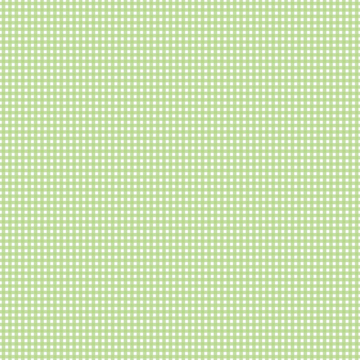Green Gingham 12